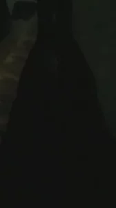 老婆丝袜验证申请论坛