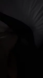 黑丝