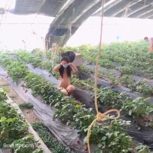 采摘露出 不看后悔 超刺激  出视频 VPN